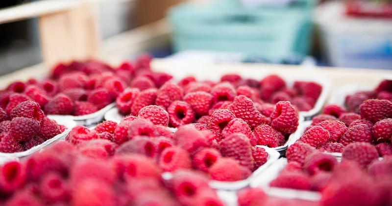 La pénétration de marché, le levier que tout le monde oublie