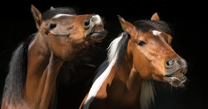 Les erreurs de chèques et d'acomptes : des trous dans la trésorerie